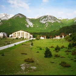 Meeting Nazionali